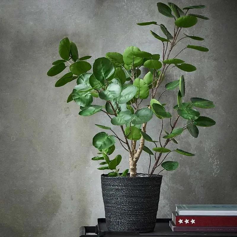 Buy Kurv foret m plast, sort, H27cm