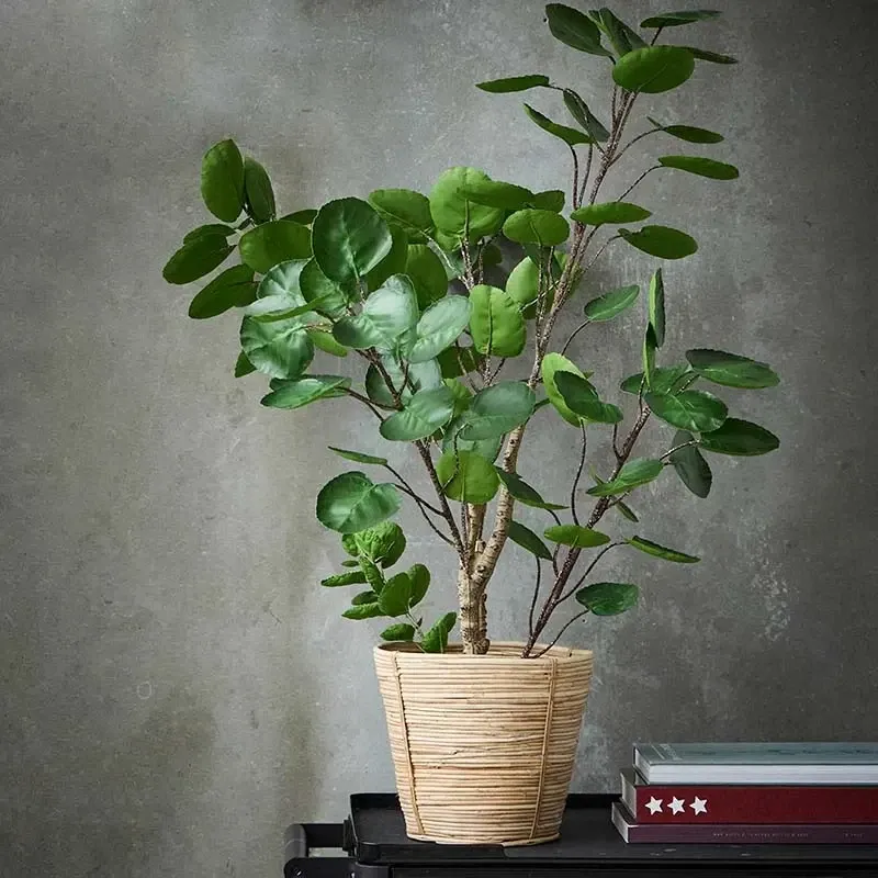 Buy Kurv i tyk flet, 25cm