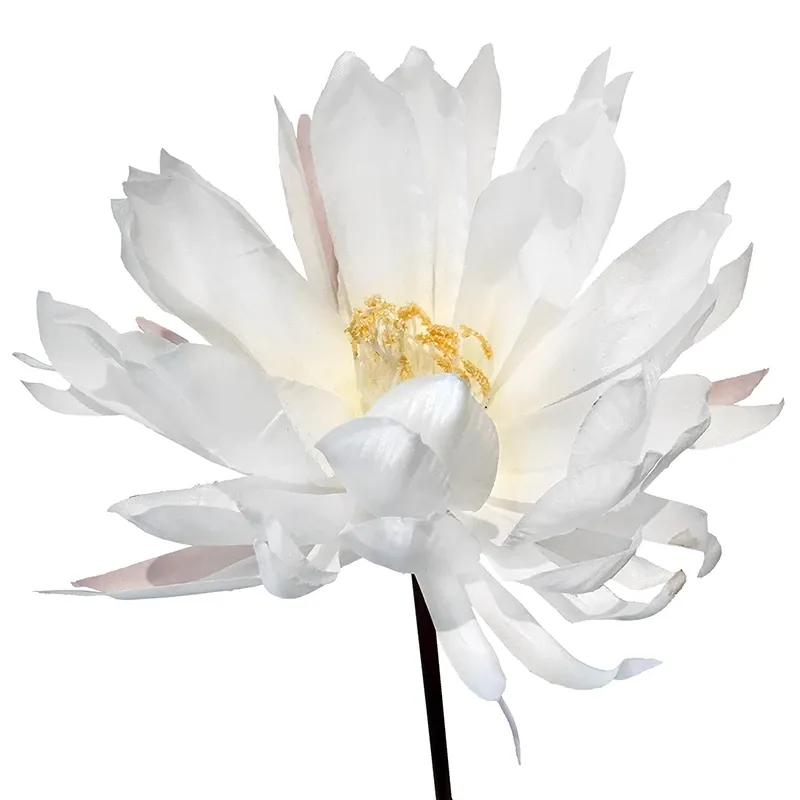 Buy Lotus Alba, hvid, kunstig blomst