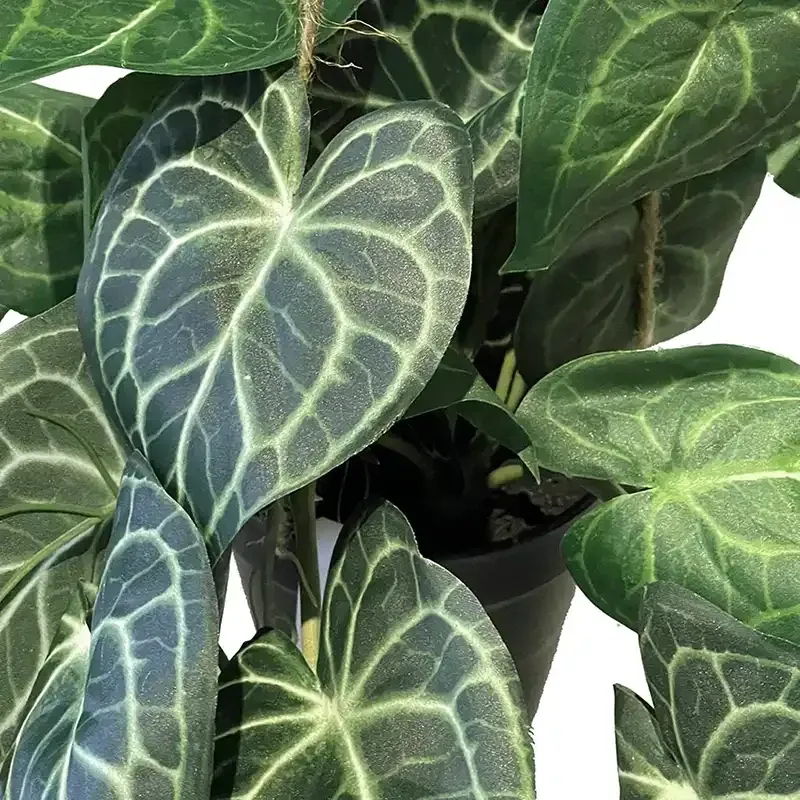 Buy Måneskin hængeplante i potte, 80cm, kunstig
