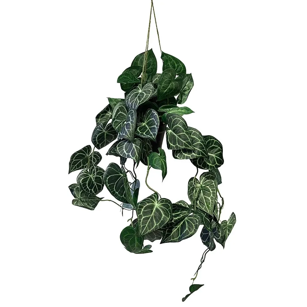 Buy Måneskin hængeplante i potte, 80cm, kunstig