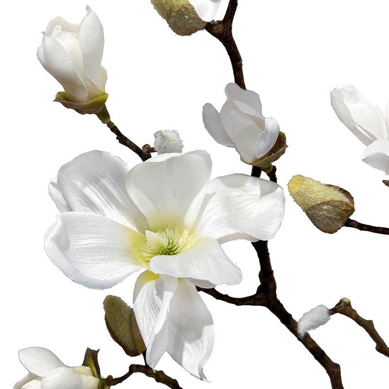 Buy Magnolia gren, 123cm, kunstig blomst