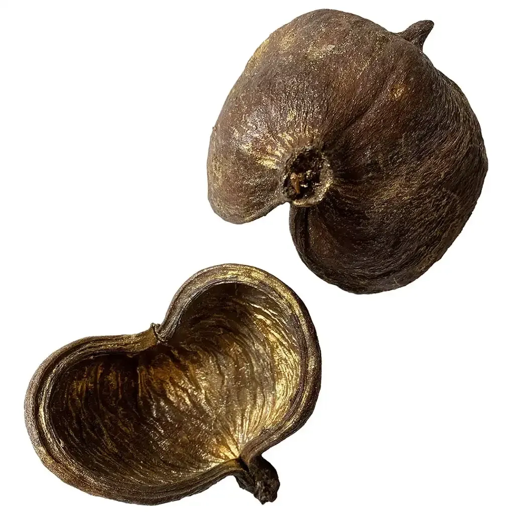 Buy Mandel skaller, assorteret str. ægte skaller