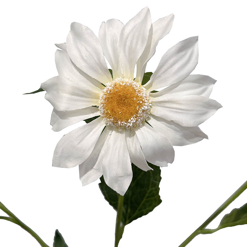 Buy Marguerit, 76cm, hvid, kunstig blomst