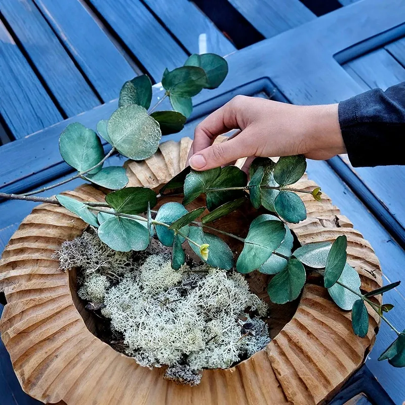 Buy Mos, ægte mos i æske, 500g