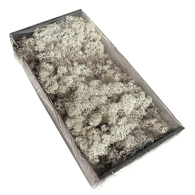 Buy Mos, ægte mos i æske, 500g