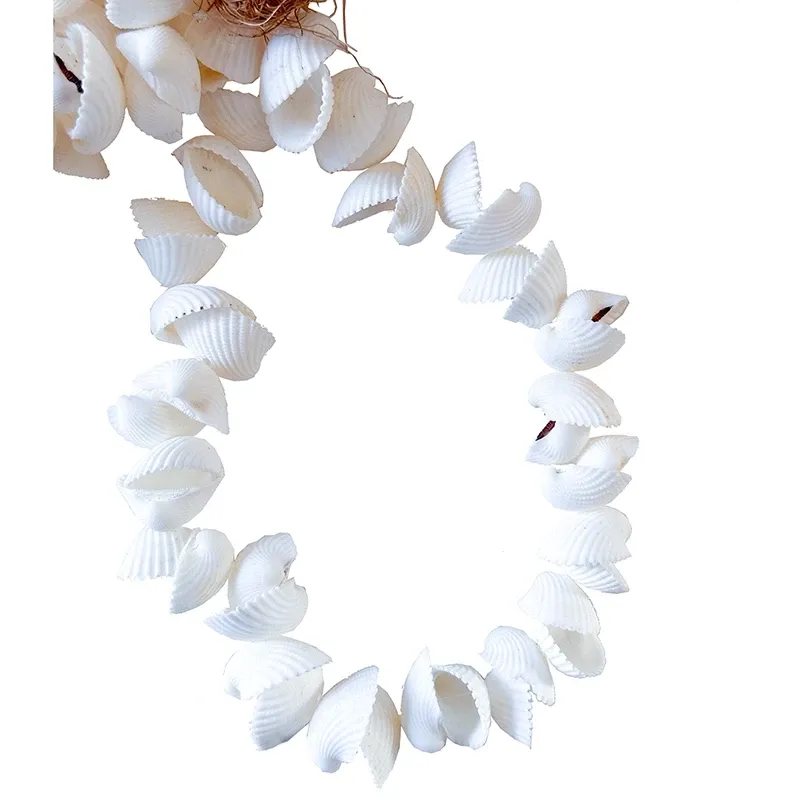 Buy Muslinge skalle ranke, 25cm