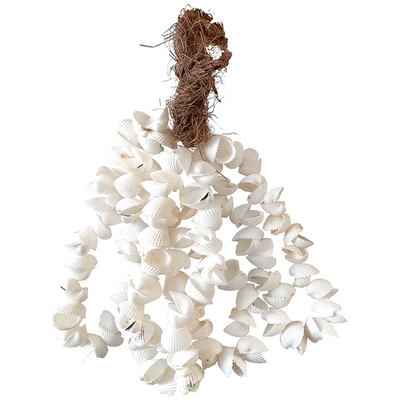 Buy Muslinge skalle ranke, 25cm