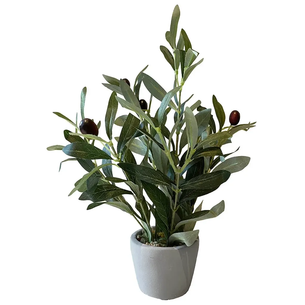 Buy Oliventræ i potte, 28 cm, kunstig plante