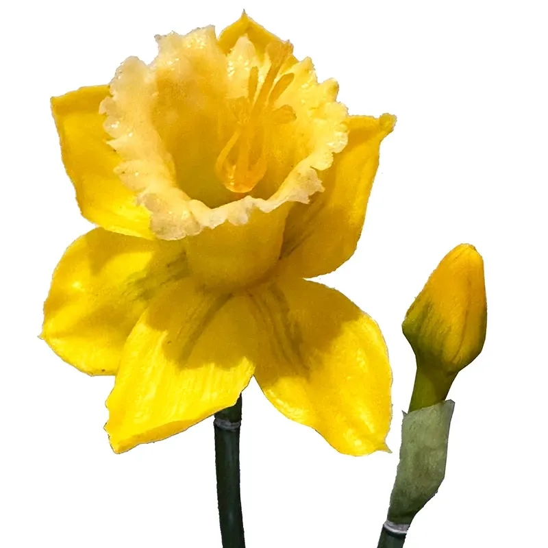 Buy Påskelilje, 52cm. kunstig blomst