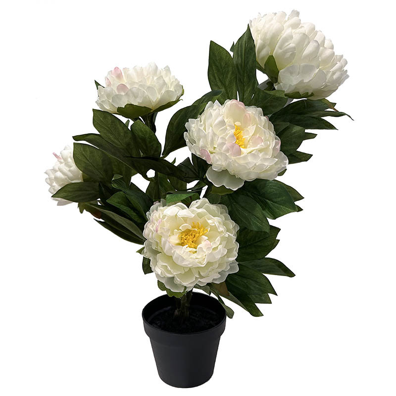 Buy Pæon i potte, 57cm, hvid, kunstig blomst
