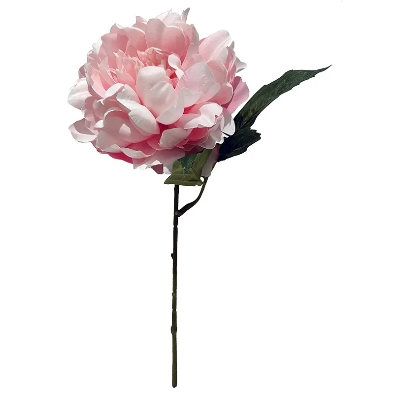 Buy Pæon, 36cm, lyserød, kunstig blomst