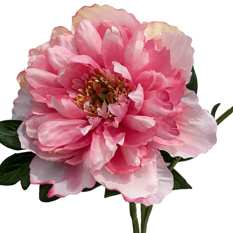 Buy Pæon, 65cm, kunstig blomst