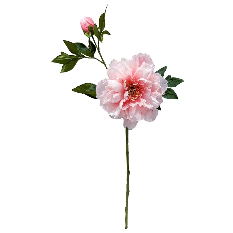 Buy Pæon, 65cm, kunstig blomst