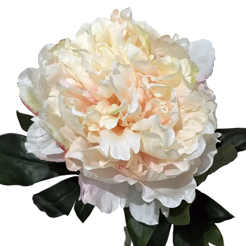 Buy Pæon, 75cm, fersken, kunstig blomst