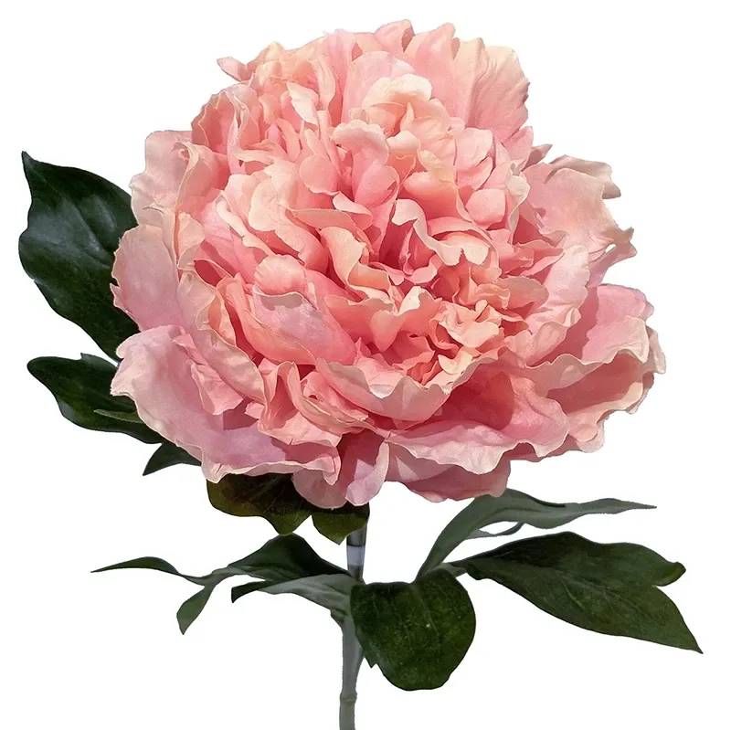 Buy Pæon, 75cm, pink, kunstig blomst