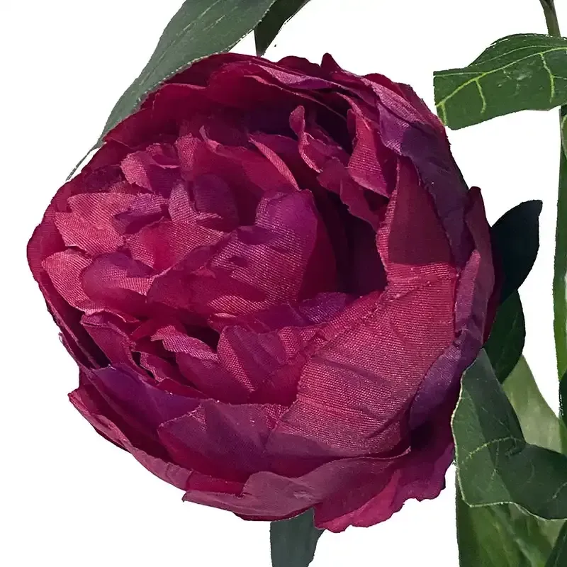 Buy Pæon, lilla, 71cm, kunstig blomst