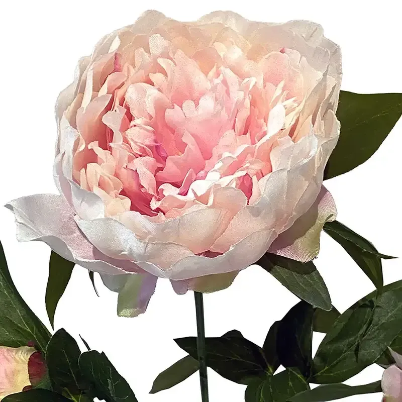 Buy Pæon, lyserød, 71cm, kunstig blomst