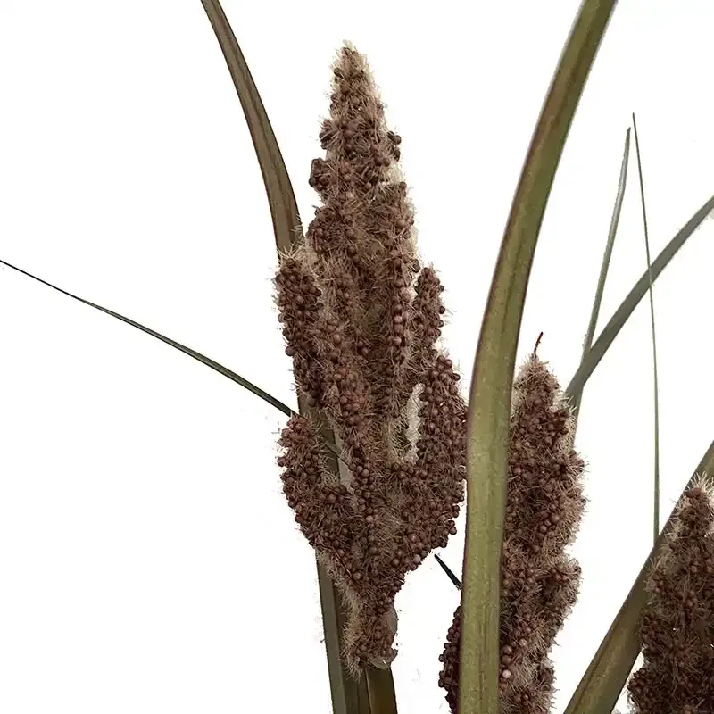Buy Pampas græs i bundt, brun/grøn, 89cm, kunstig