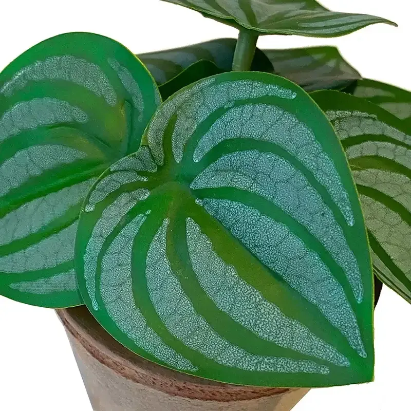 Buy Peperomia mini plante i krukke, 13cm, kunstig