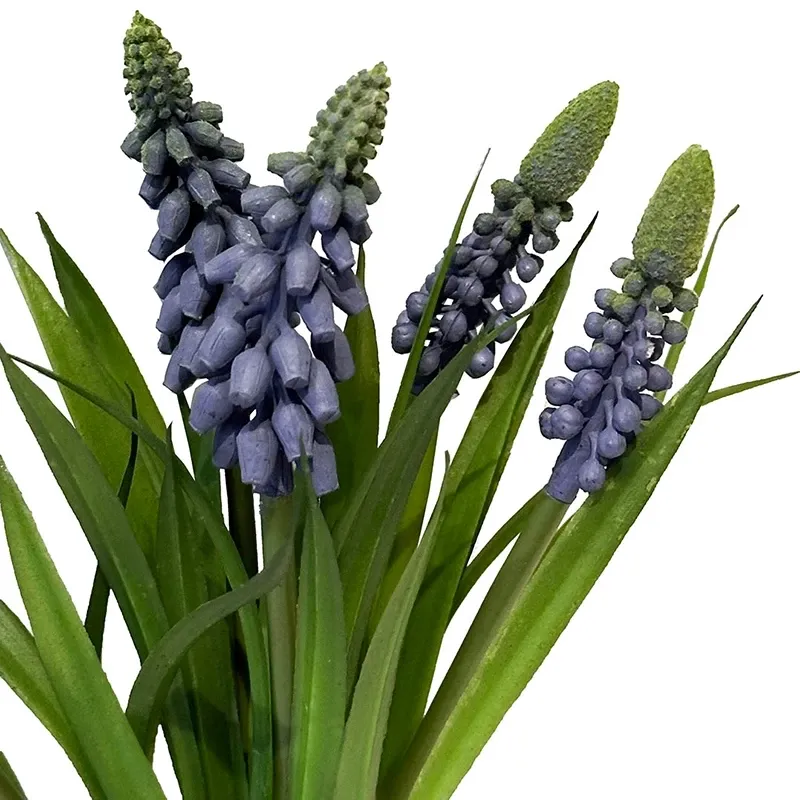 Buy Perlehyacint i bundt, blå, 26cm.