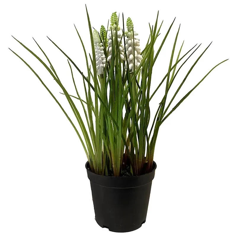 Buy Perlehyacint i potte, creme, 25cm, kunstig