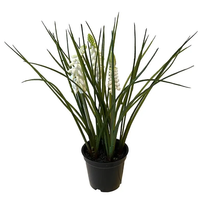 Buy Perlehyacint i potte, hvid, 23cm, kunstig