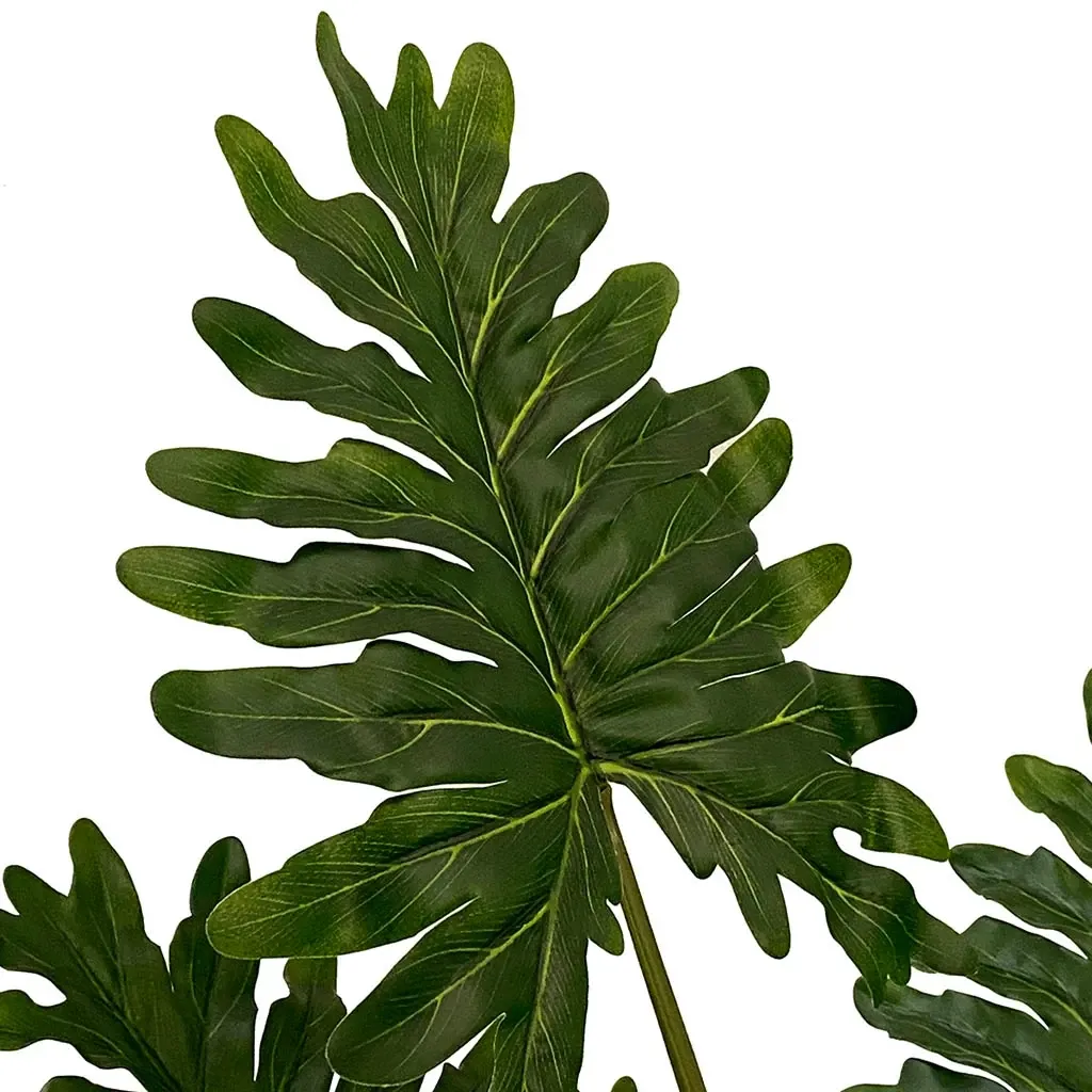 Buy Philodendron xanadu i potte, 80cm, kunstig