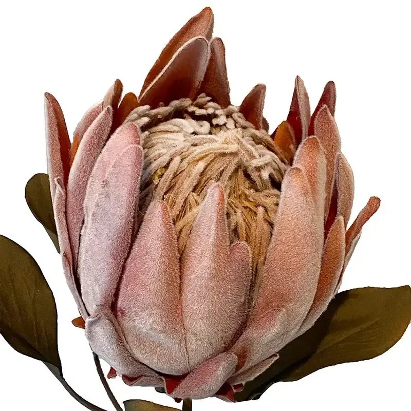 Buy Protea XL, 62cm, kunstig blomst