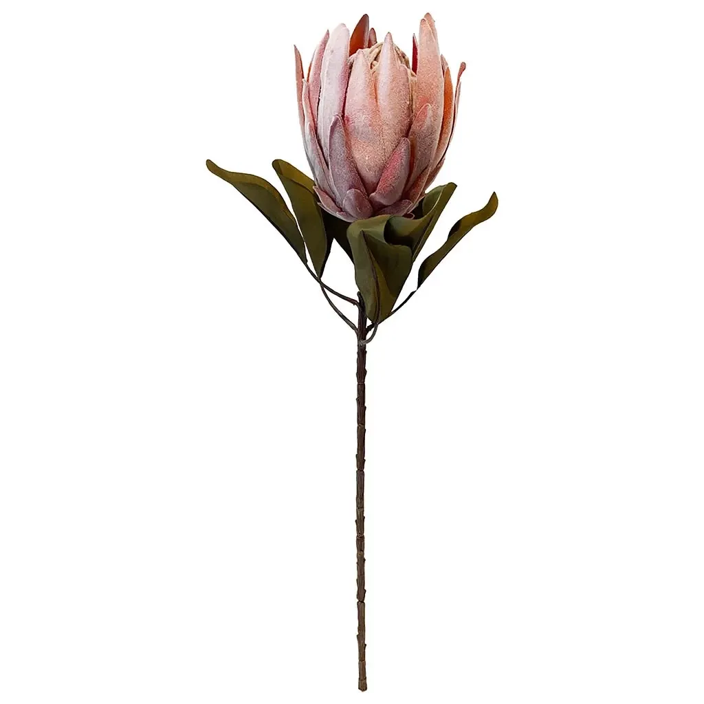 Buy Protea XL, 62cm, kunstig blomst