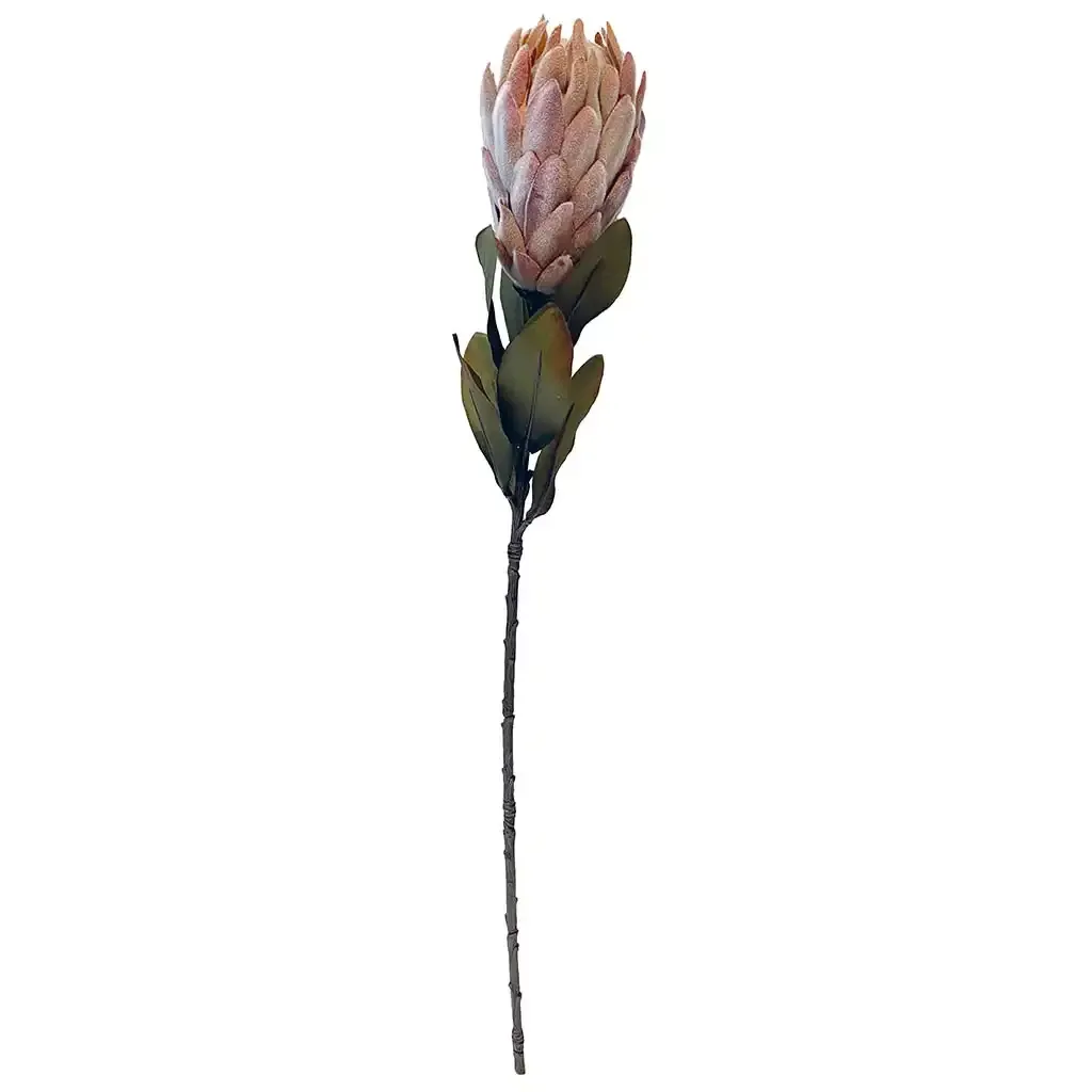 Buy Protea, 62 cm, kunstig blomst