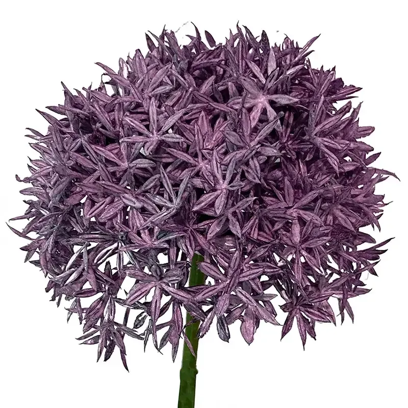 Buy Prydløg, 62cm, allium, kunstig blomst