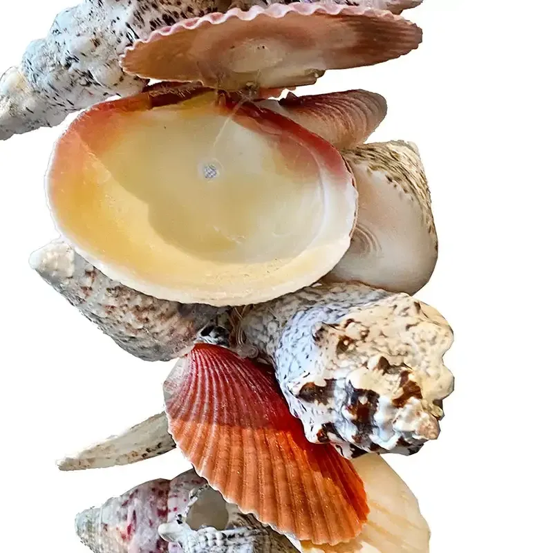 Buy Ranke af skaller, ægte skaller, 100cm