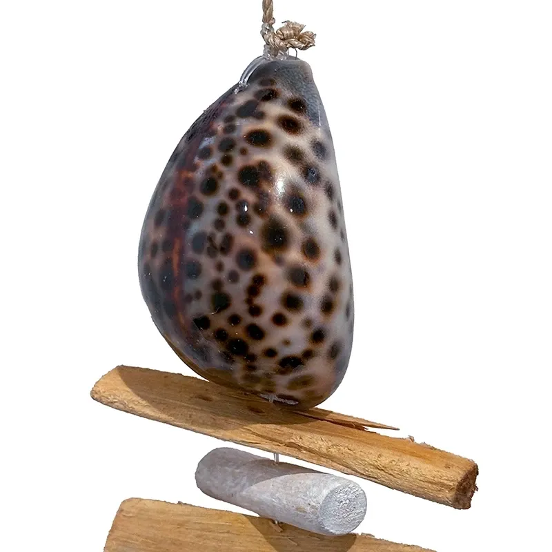 Buy Ranke med strandskaller og træ