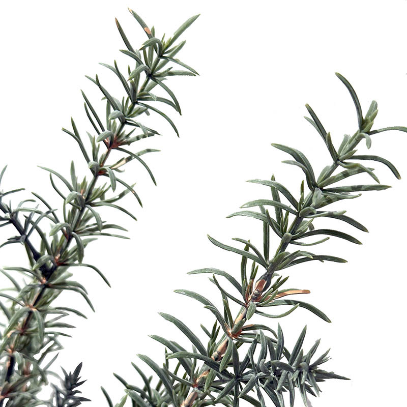 Buy Rosmarin busk på stilk, kunstig plante
