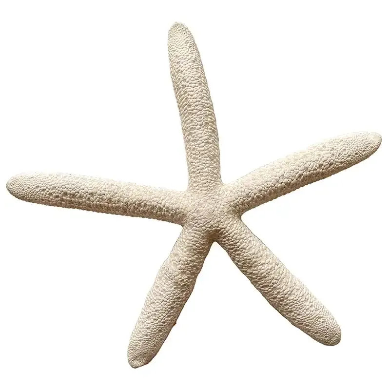 Buy Søstjerne, 8 stk, 15-20cm