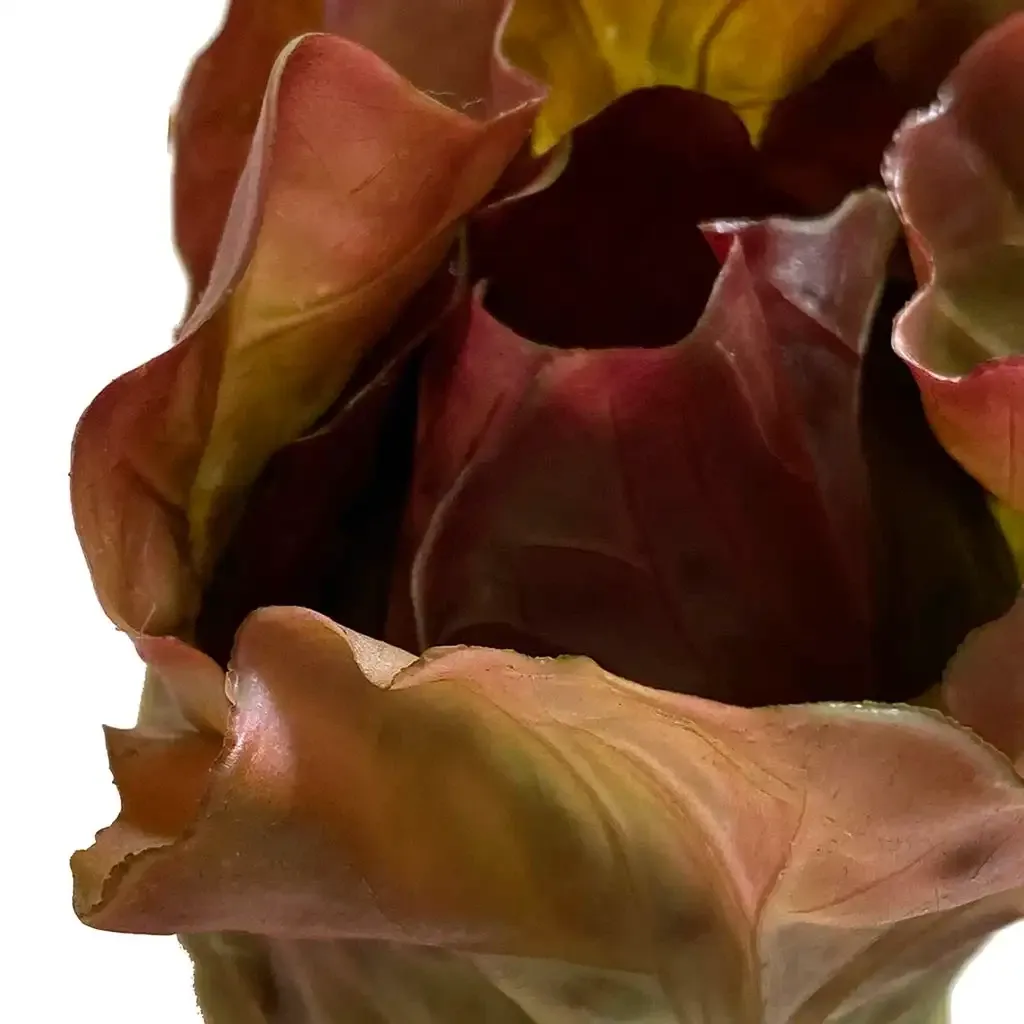 Buy Salathoved, grøn/rød, 11cm, kunstig mad