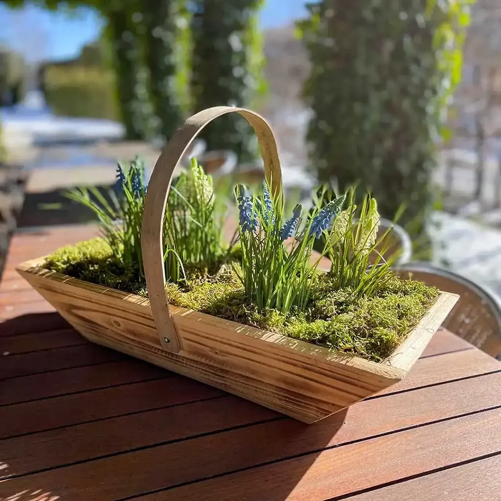 Buy Skål med håndtag, paulownia træ