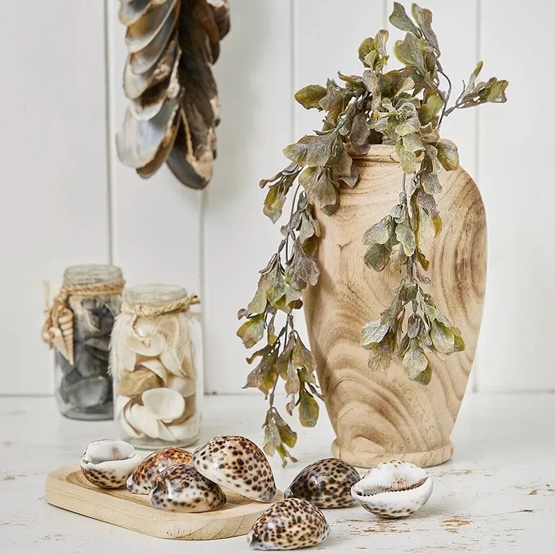 Buy Skaller i æske, ægte skaller