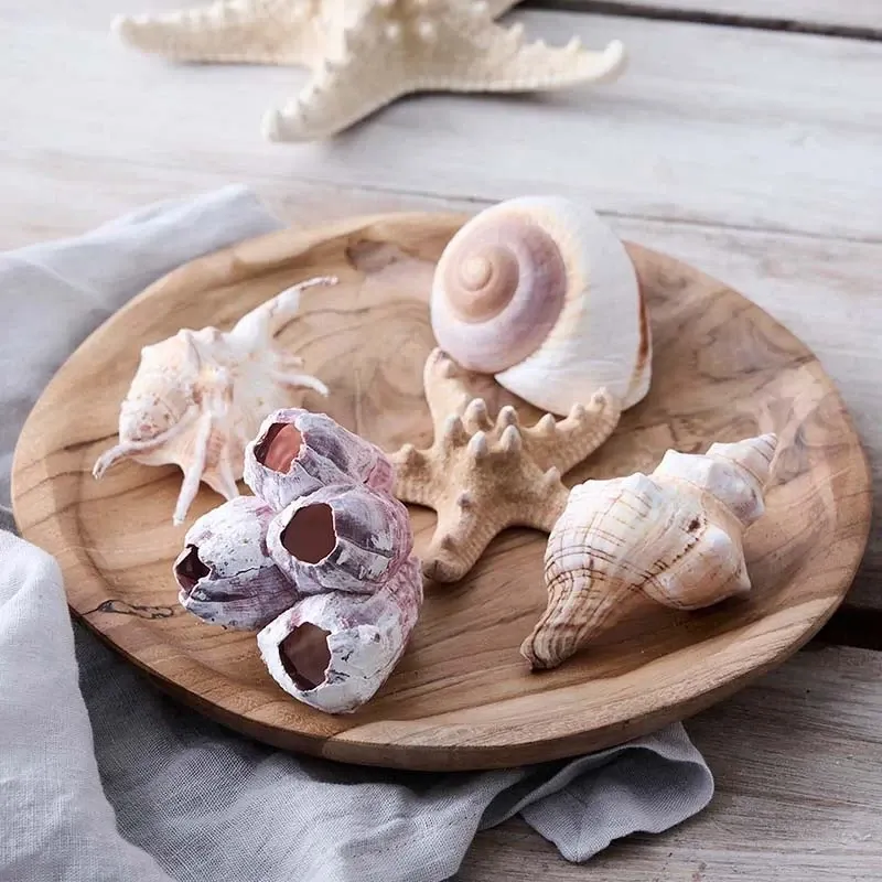 Buy Skaller i net, mix, 5 stk