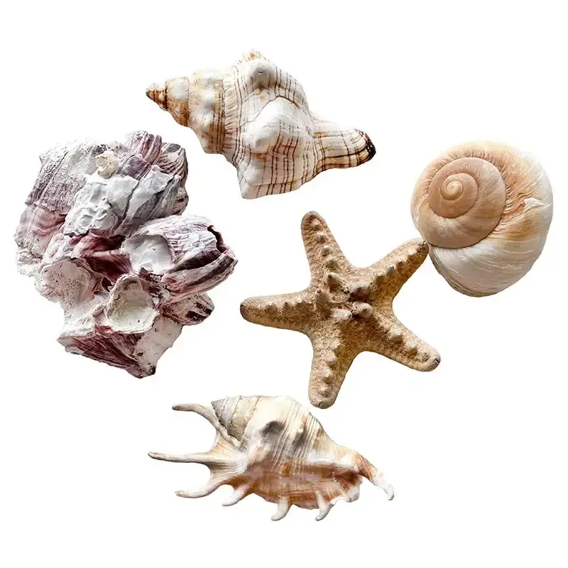 Buy Skaller i net, mix, 5 stk