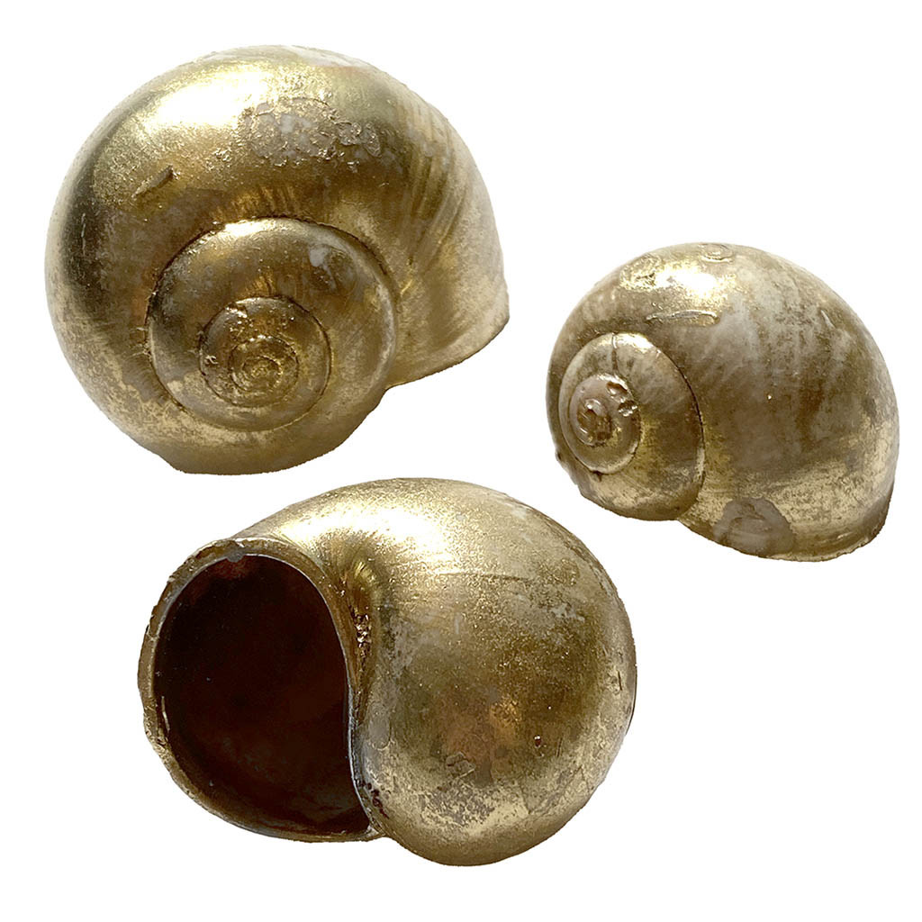 Buy Skaller m guld vasket look, 500g, ægte skaller