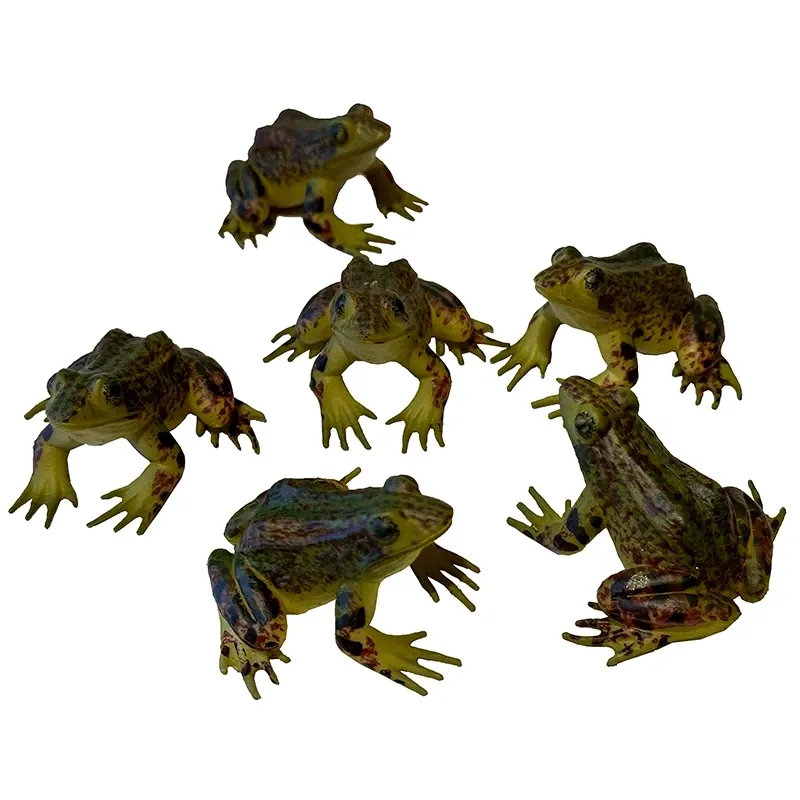 Buy Små frøer, 6 stk./ pakke