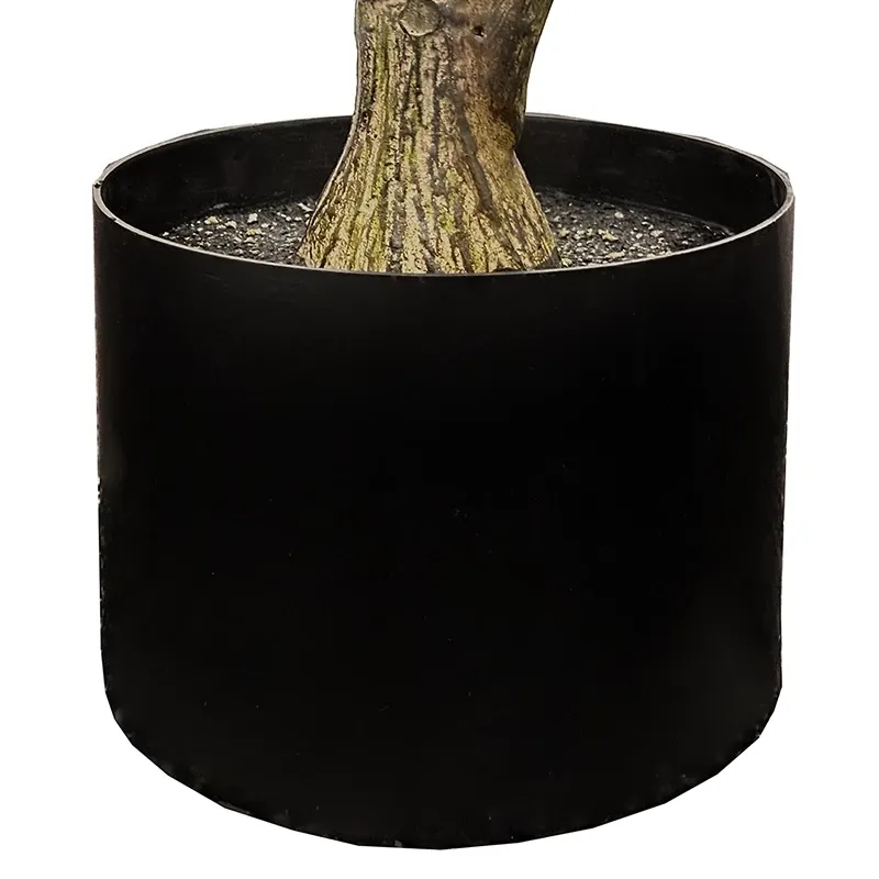 Buy Sophora træ, 190cm, kunstig plante