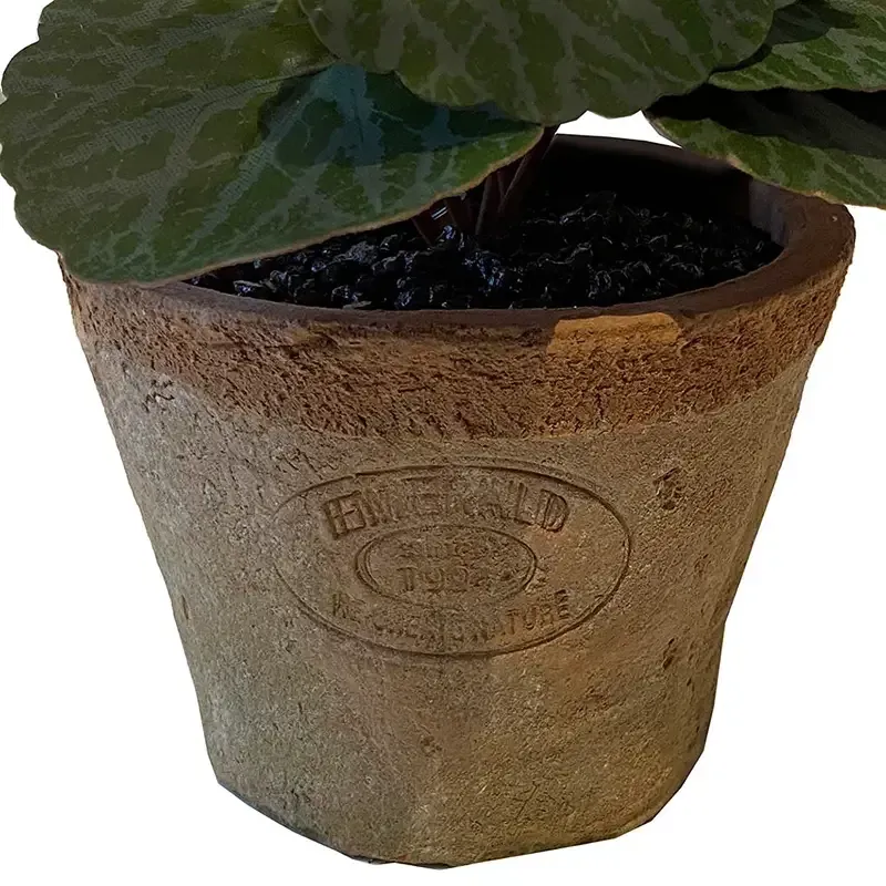 Buy Stenbræk mini plante i krukke, 13cm, kunstig