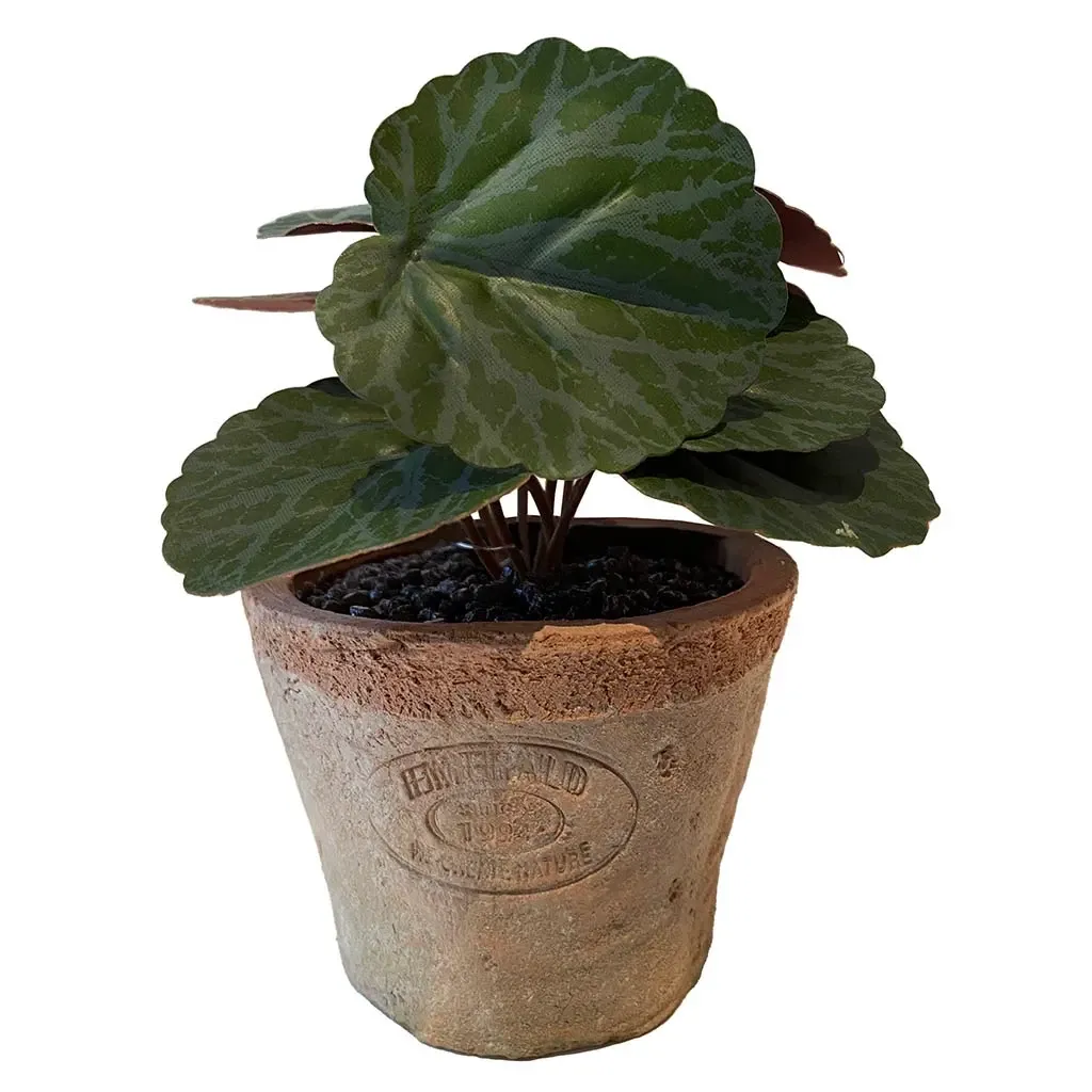 Buy Stenbræk mini plante i krukke, 13cm, kunstig