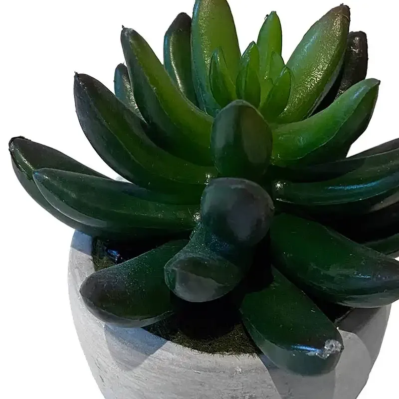 Buy Stenurt i krukke, 11cm, kunstig plante