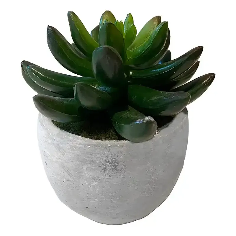Buy Stenurt i krukke, 11cm, kunstig plante