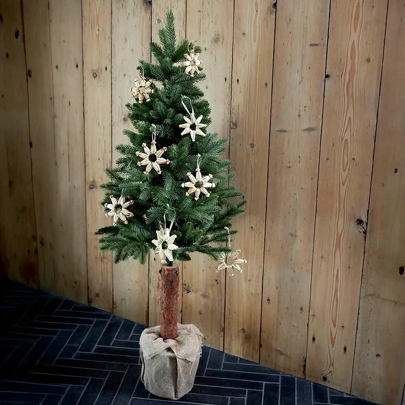 Buy Stjerne i tørret græs m ophæng, 12cm