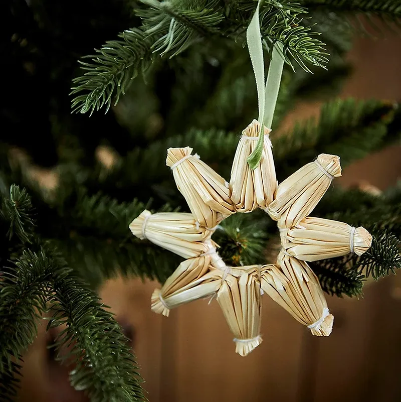 Buy Stjerne i tørret græs m ophæng, 9cm